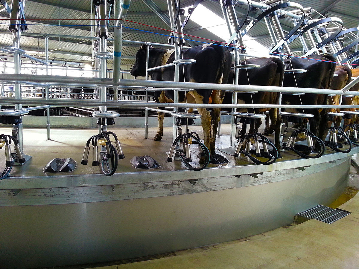 Gallery Waikato Bromley Dairy and Pumps