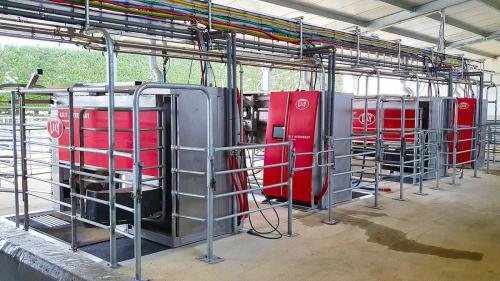 Lely Robot completed